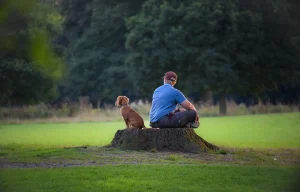 a dog and his owner sat on a tree stump
