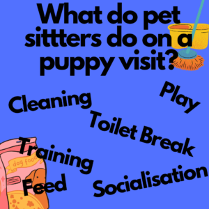 a graphic showing what do pet sitters do on a puppy visit with a list of items