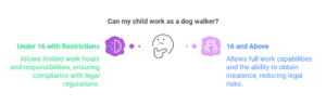 graphic explains difference between under 16s and over 16s at work. explanation also in following text