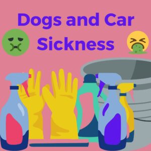 dogs and car sickness