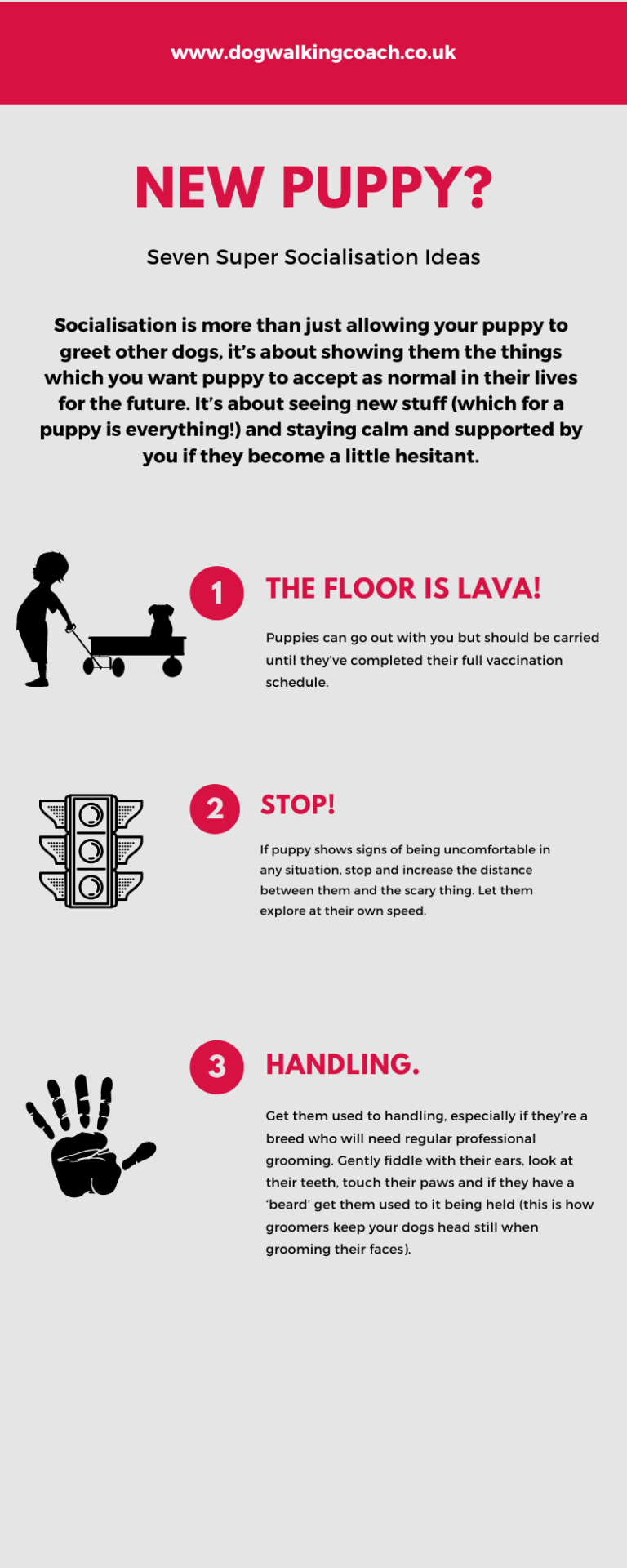 What age can a puppy go with a dog walker? The Dog Walking Coach