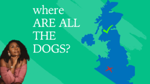a map of the uk in blue and text asking where are all the dogs?