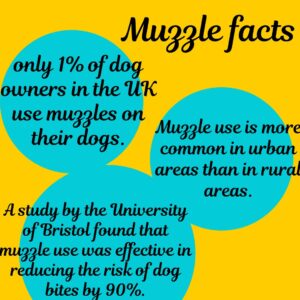 muzzle facts