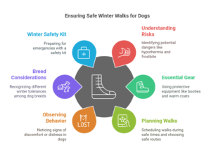 Ultimate Guide to Keeping Your Dog Safe and Happy on Winter Walks visual selection