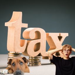 the word tax with a stressed man and a sad dog